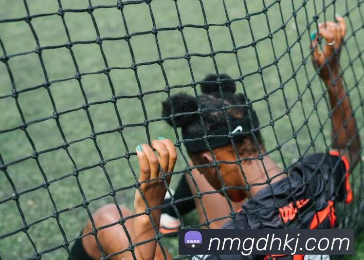 beat365官方网站入口发展历程